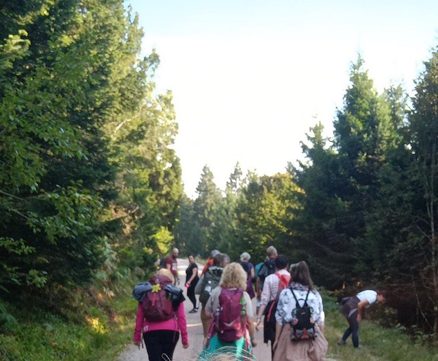 Gruppe von Menschen, die eine Kräuterwanderung genießen und gemeinsam durch die Natur spazieren