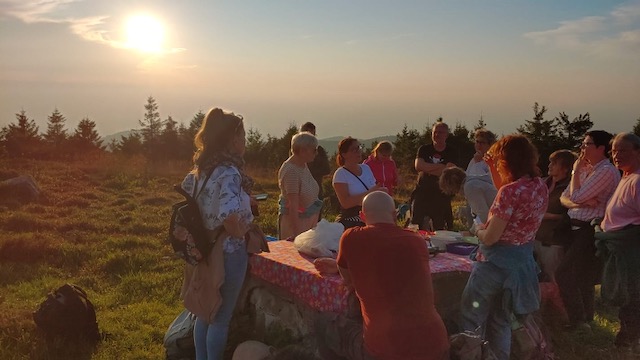 Eine Gruppe von Entdeckern im warmen Licht der Abendsonne, die fasziniert Wildkräuter betrachten. Ihre Gesichter strahlen vor Begeisterung, während sie ihr neu erworbenes Wissen aus der Kräuterwanderung miteinander teilen. Die goldene Stunde taucht die Szene in ein magisches Licht und unterstreicht die Verbundenheit der Teilnehmer mit der Natur.