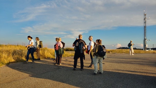 Group of foragers atop a mountain, examining unique herbs distinct from those at lower elevations, with each plant's leaves progressively smaller at higher altitudes