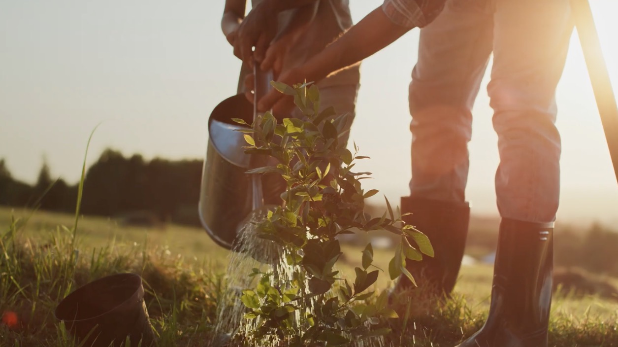 Ältere Person zeigt einem Kind, wie man Gemüse in einem Garten pflanzt
