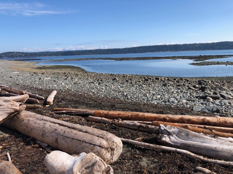 Kinder erschaffen Kunst mit natürlichen Materialien wie Blättern und Zweigen in einer Outdoor-Umgebung