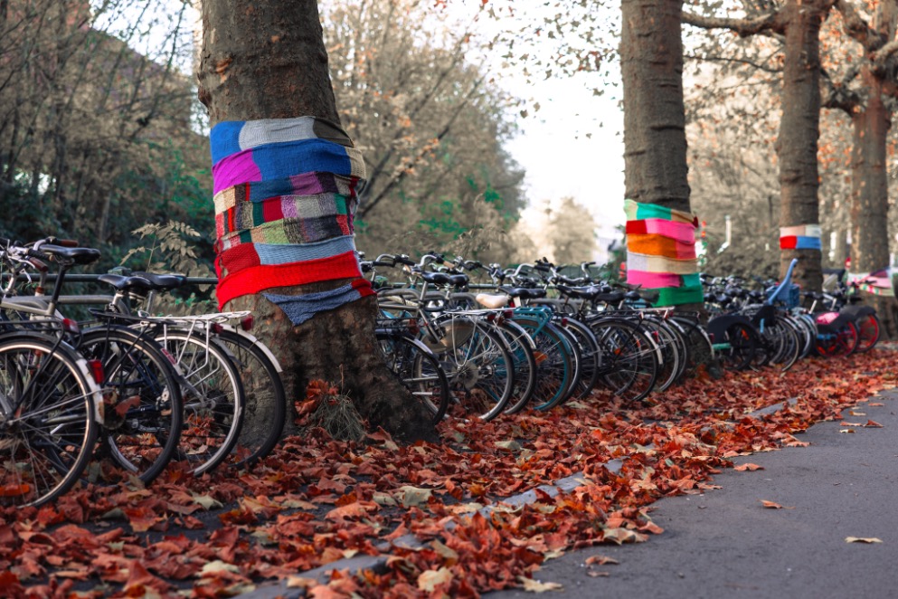 Bunt umstrickte Bäume neben geparkten Fahrrädern als Beispiel für Urban Knitting und Yarn Bombing